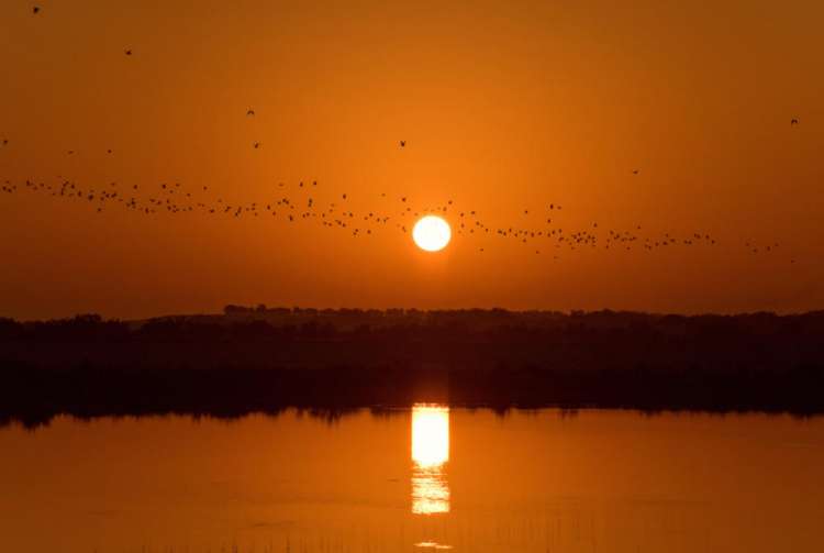 Crociera_Emirati - Sir Bani Yas Island
